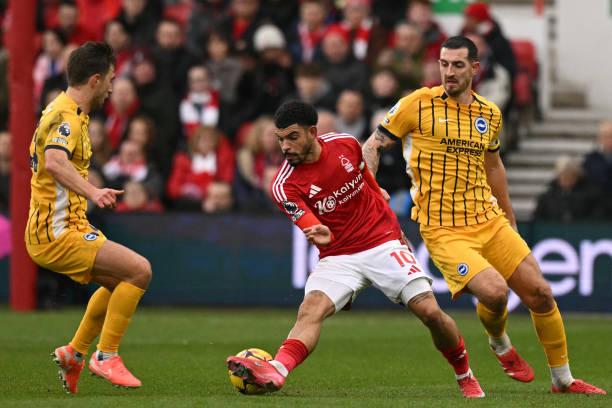 比如有些明 比如有些明